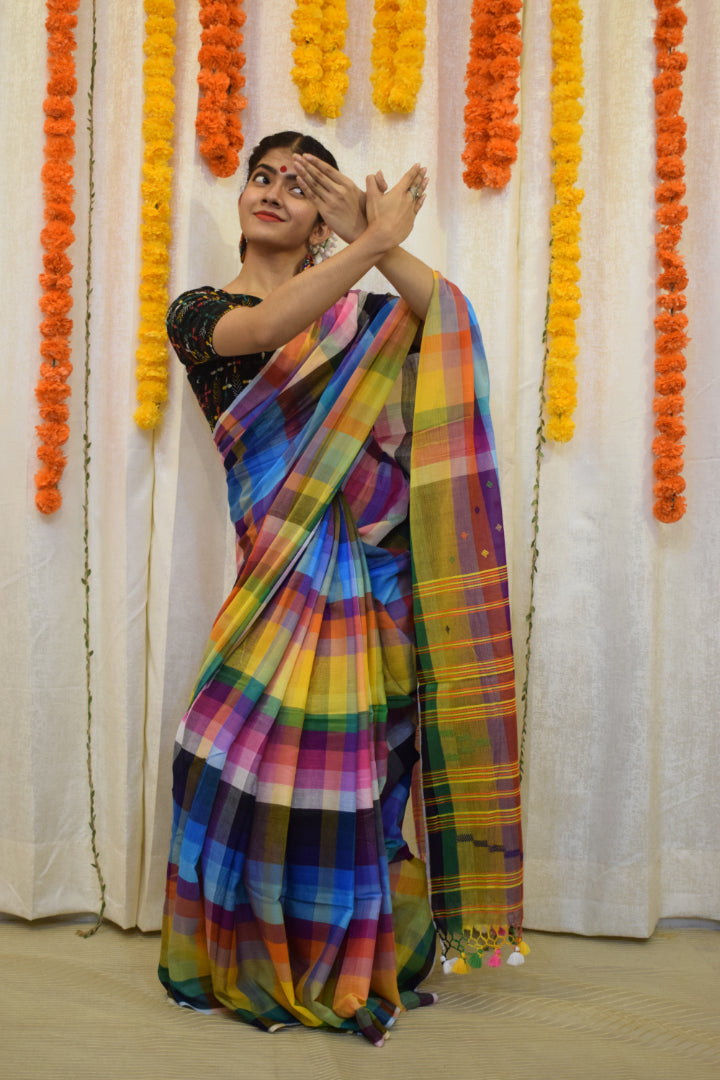 Navrang- Multicoloured Cotton Bhujodi Saree