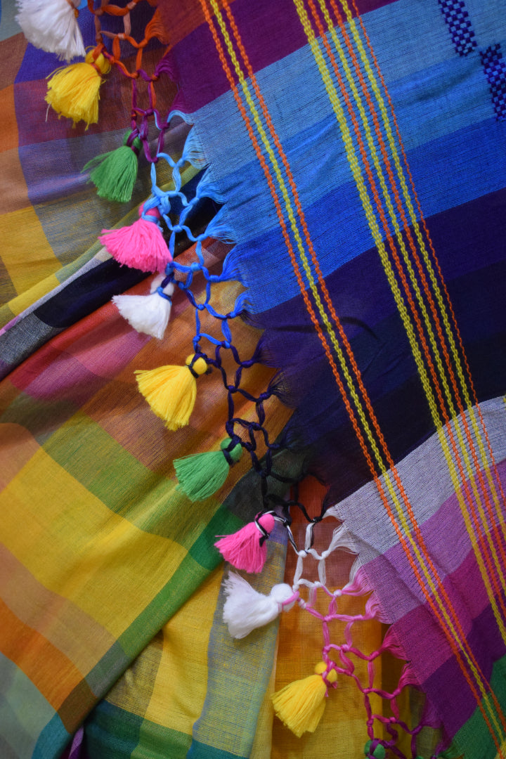 Navrang- Multicoloured Cotton Bhujodi Saree